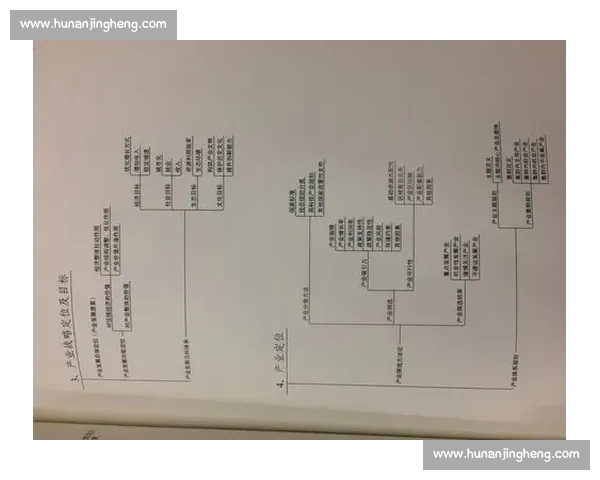 弱势群体如何在强者主导的环境中争取生存与发展空间的战略探讨